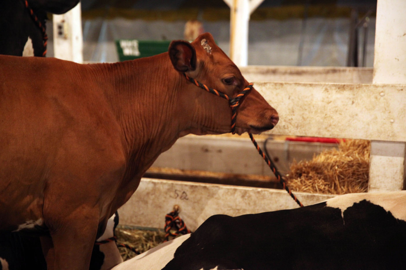LaPorte County Fair